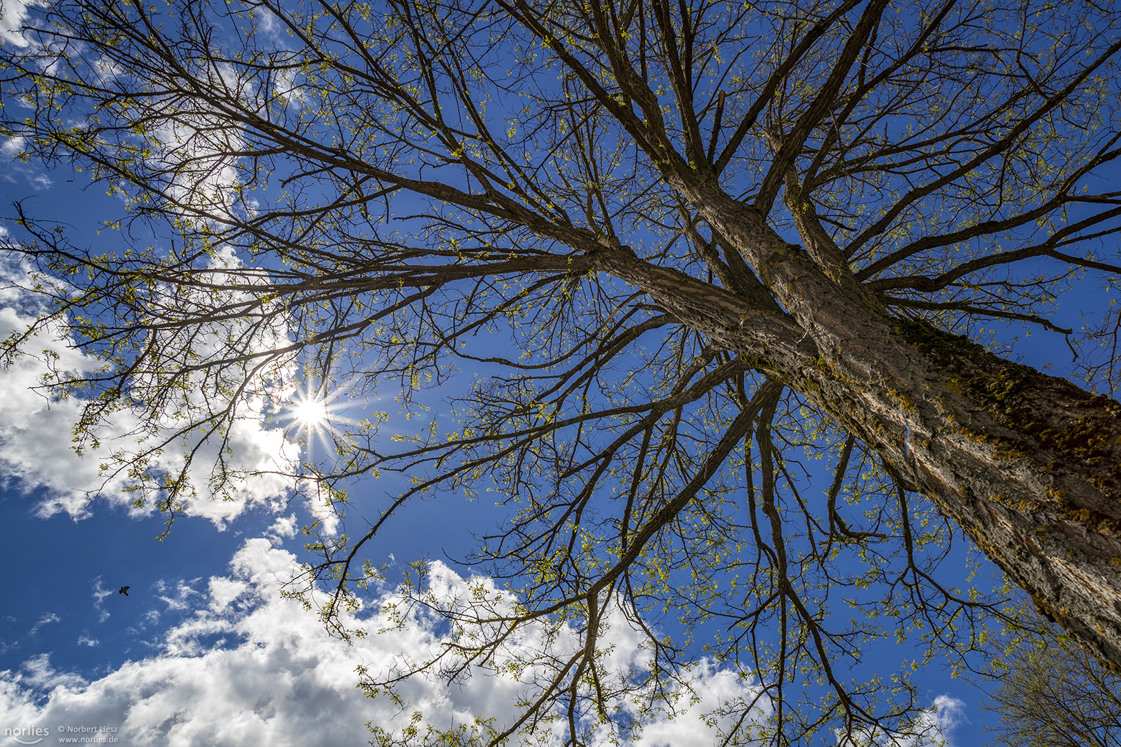 Sonnentag