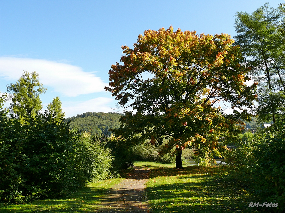 Sonnentag