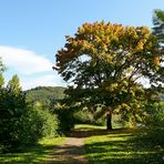 Sonnentag