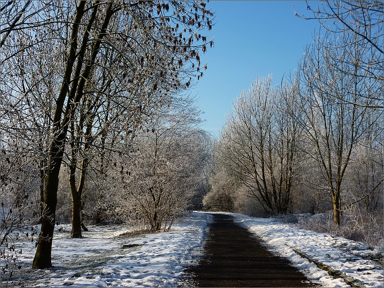 Sonnentag