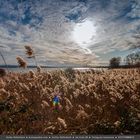 sonnentag am ammersee