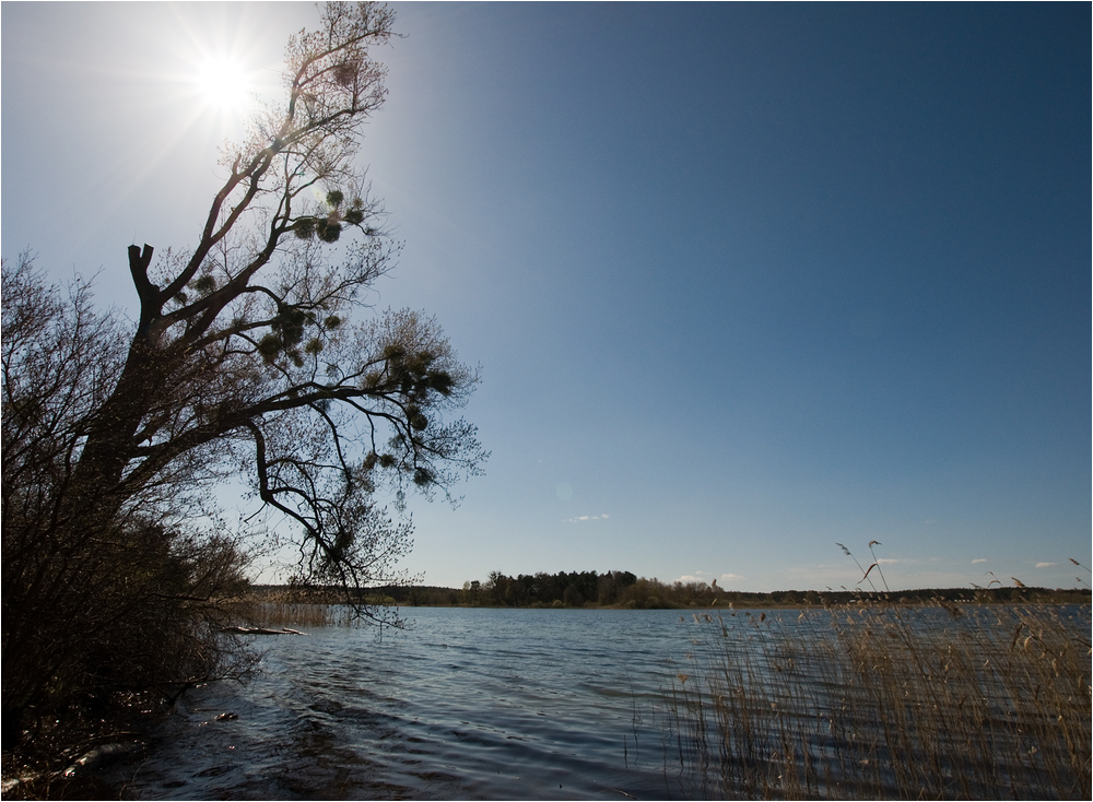 Sonnentag am Feisnecksee