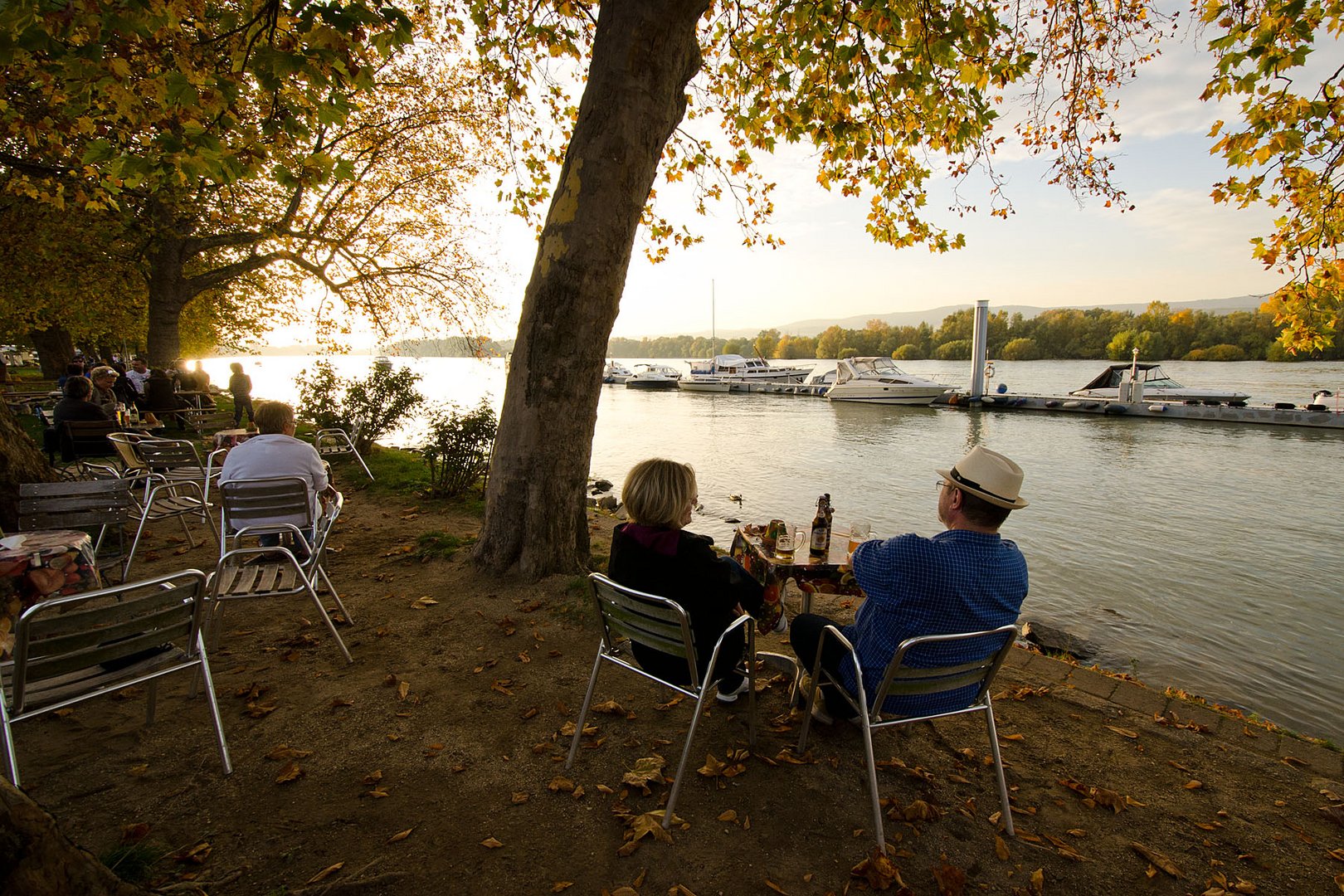 Sonn(en)tag am Rhein