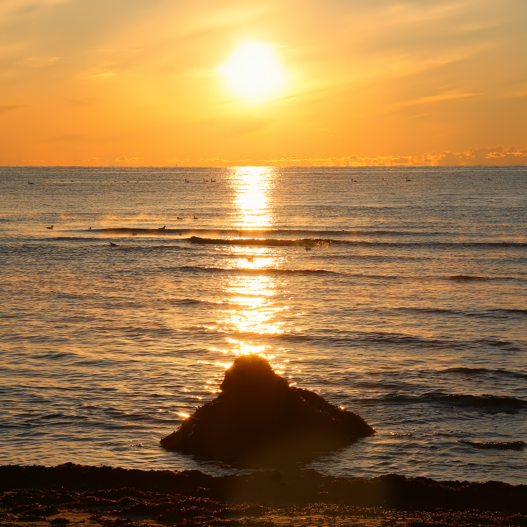 Sonnentag beginnt