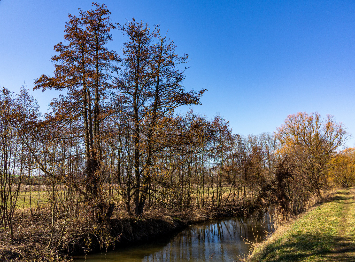 Sonnentag