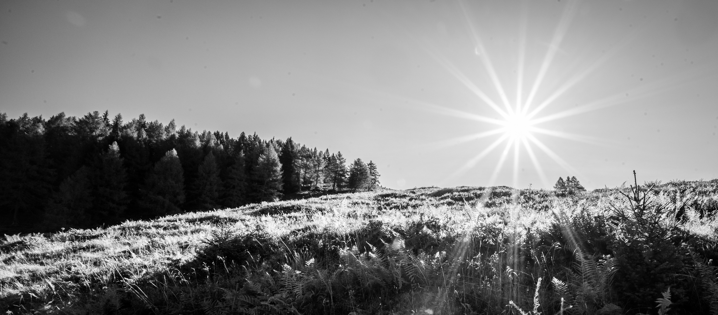 Sonnentag im Herbst