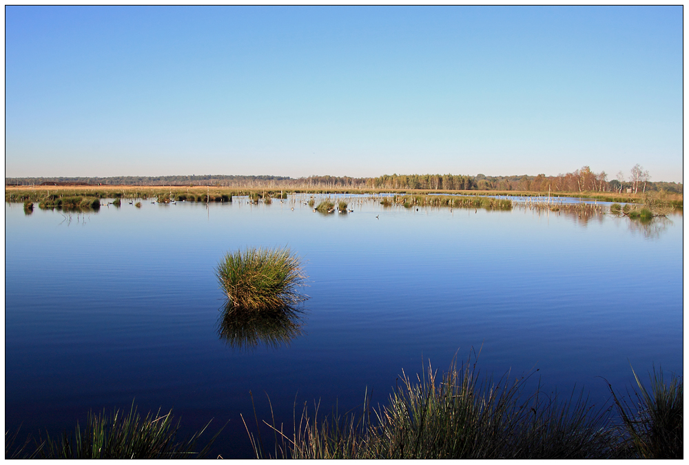 Sonn(en)tag im Himmelmoor