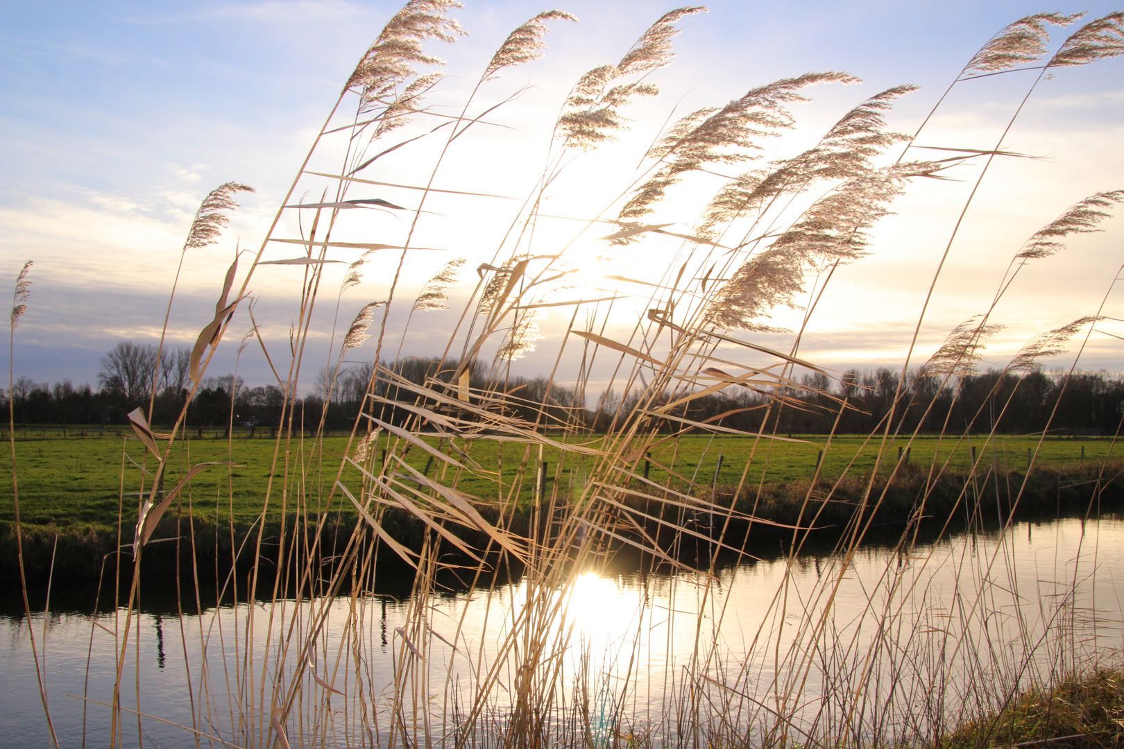 Sonnentag im Januar