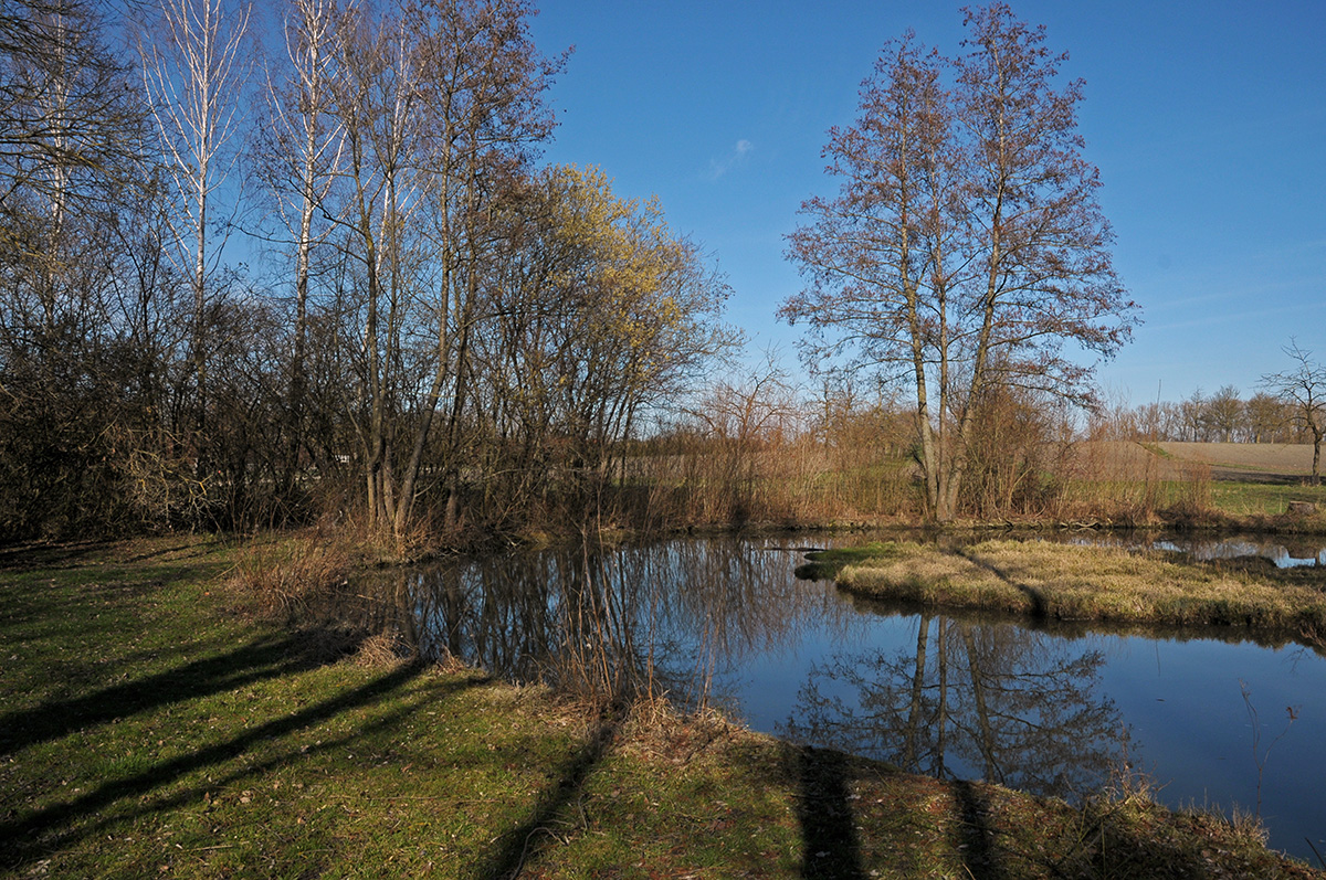 Sonnentag im März