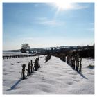 Sonnentag im Winter