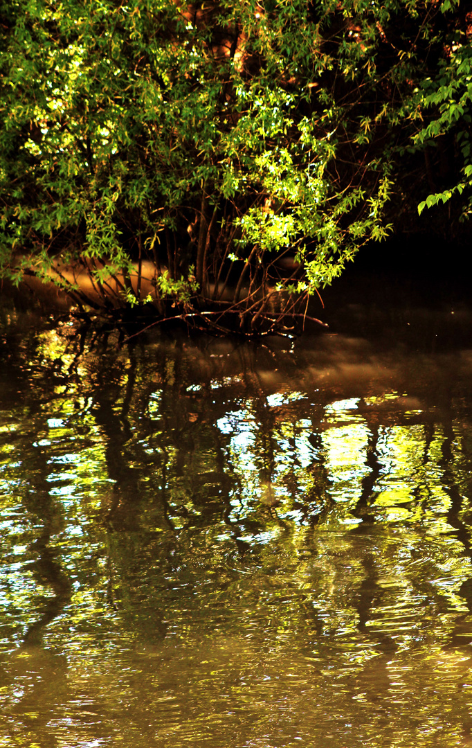 SONNENTAGE AM NECKAR UFER