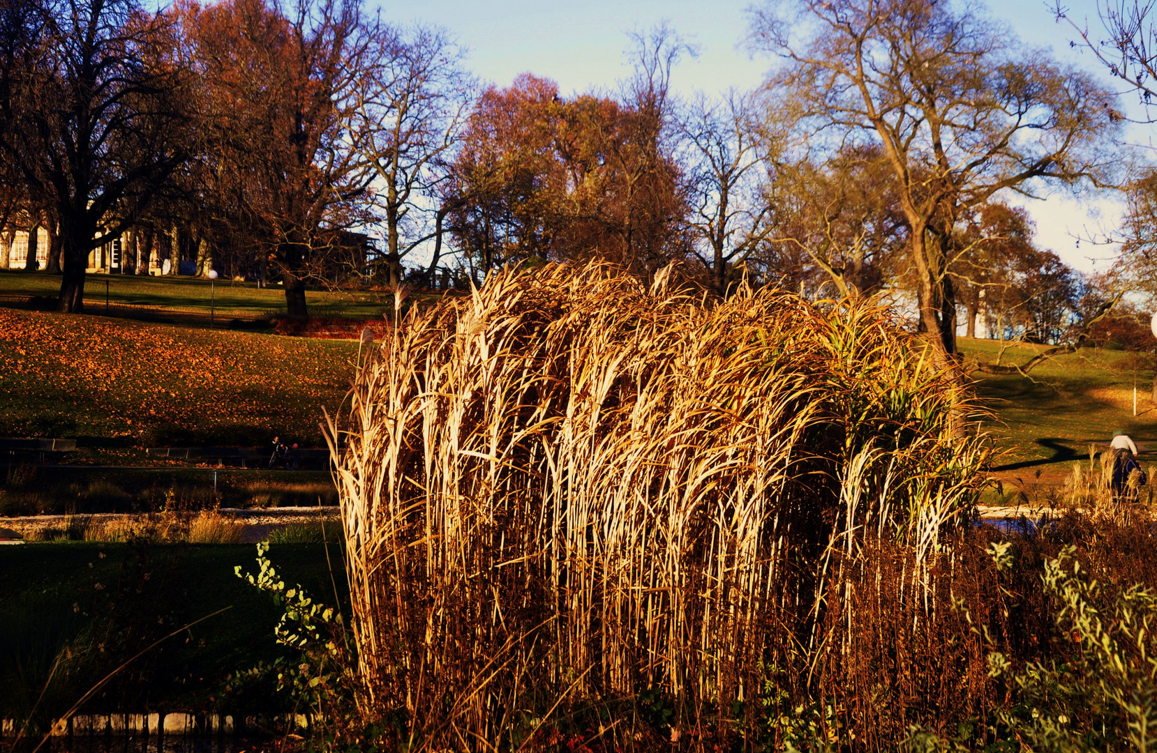 Sonnentage im Rosensteinpark