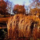 Sonnentage im Rosensteinpark