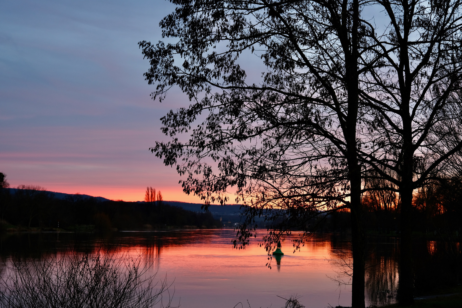 Sonnenunergang an der Mosel