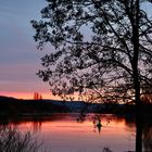 Sonnenunergang an der Mosel