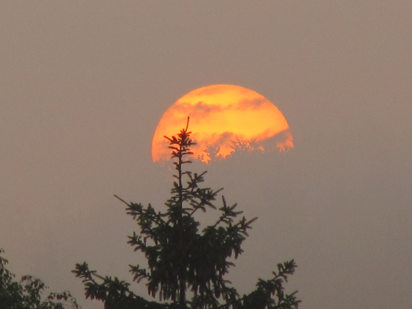 Sonnenunergang im Nebel