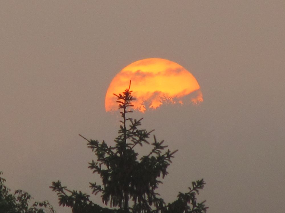 Sonnenunergang im Nebel von Gaija 