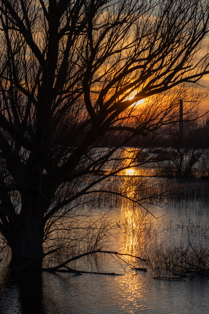 Sonnenuntegang an der Maas