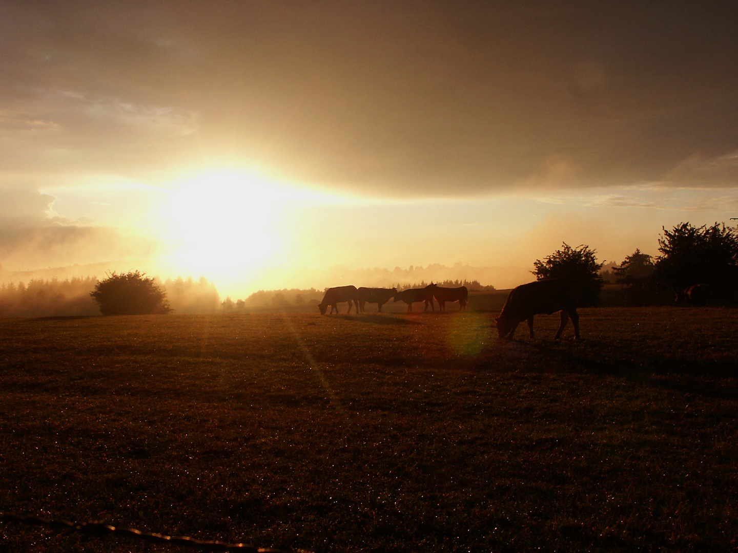 sonnenuntegang in Marnisch