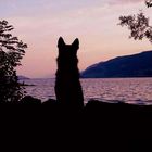 Sonnenunter am Bielersee