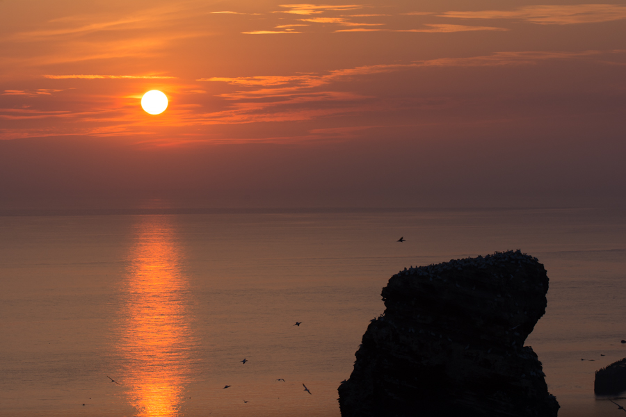 Sonnenunteragen auf Helgoland