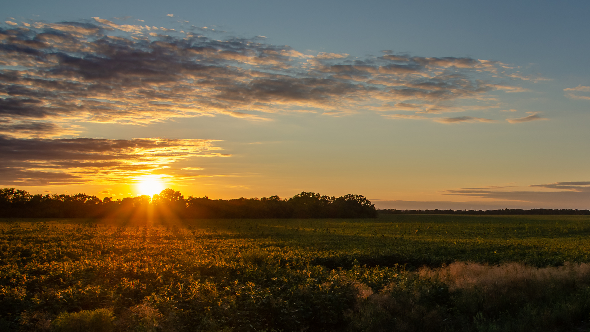 Sonnenunterg