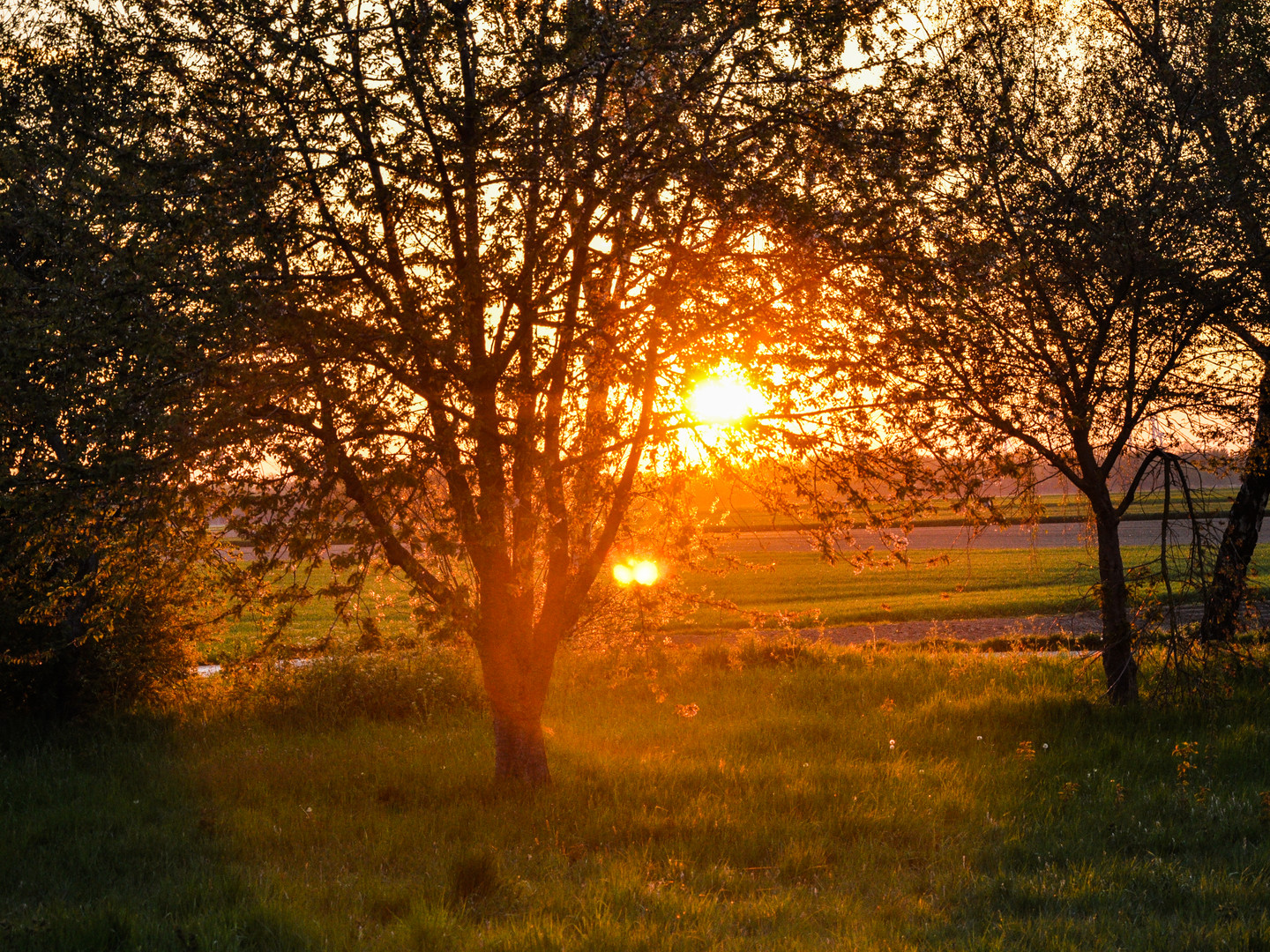 Sonnenuntergänge