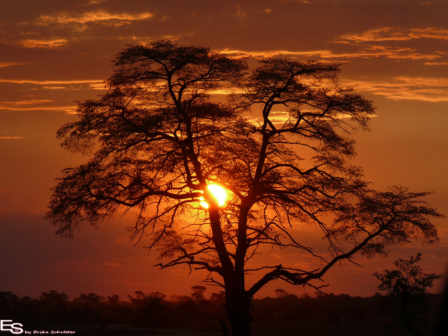 Sonnenuntergänge in Afrika... nirgendwo so schön