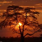 Sonnenuntergänge in Afrika... nirgendwo so schön