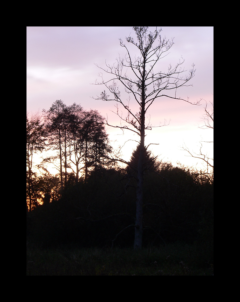 Sonnenuntergänge können so schön sein!