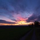 Sonnenuntergan auf der Ottmarsheimer Höhe