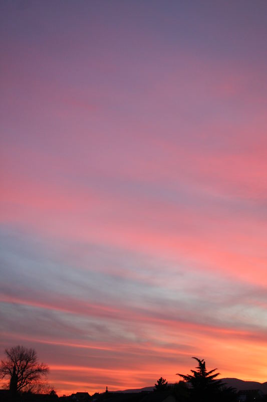 Sonnenuntergan in der Pfalz