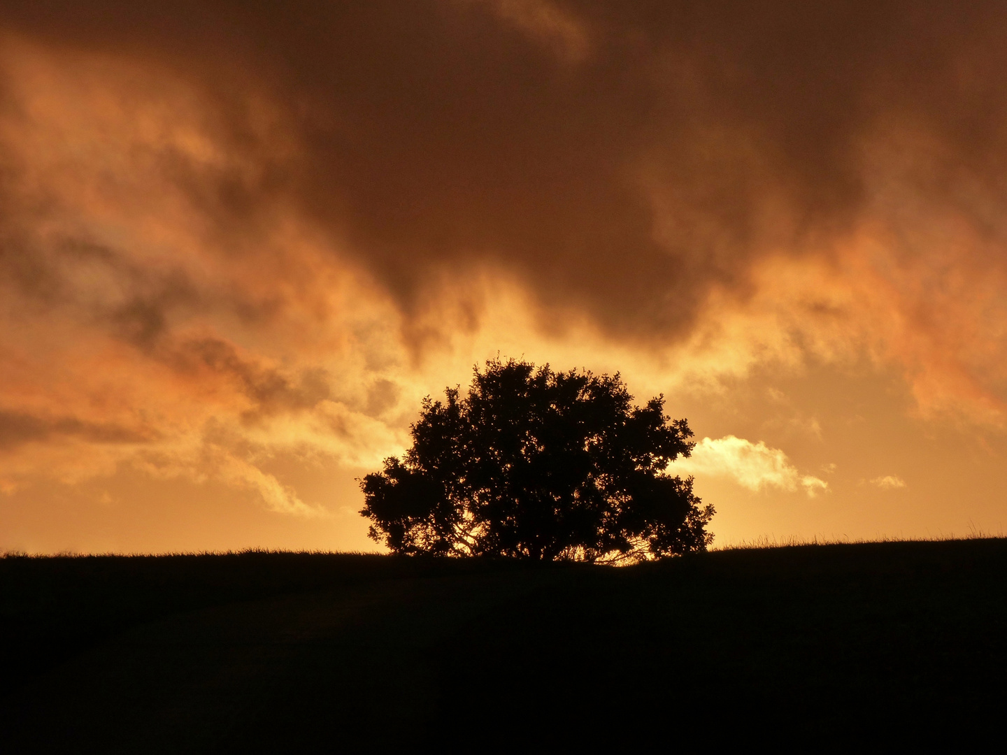 Sonnenuntergang 01.10.2018