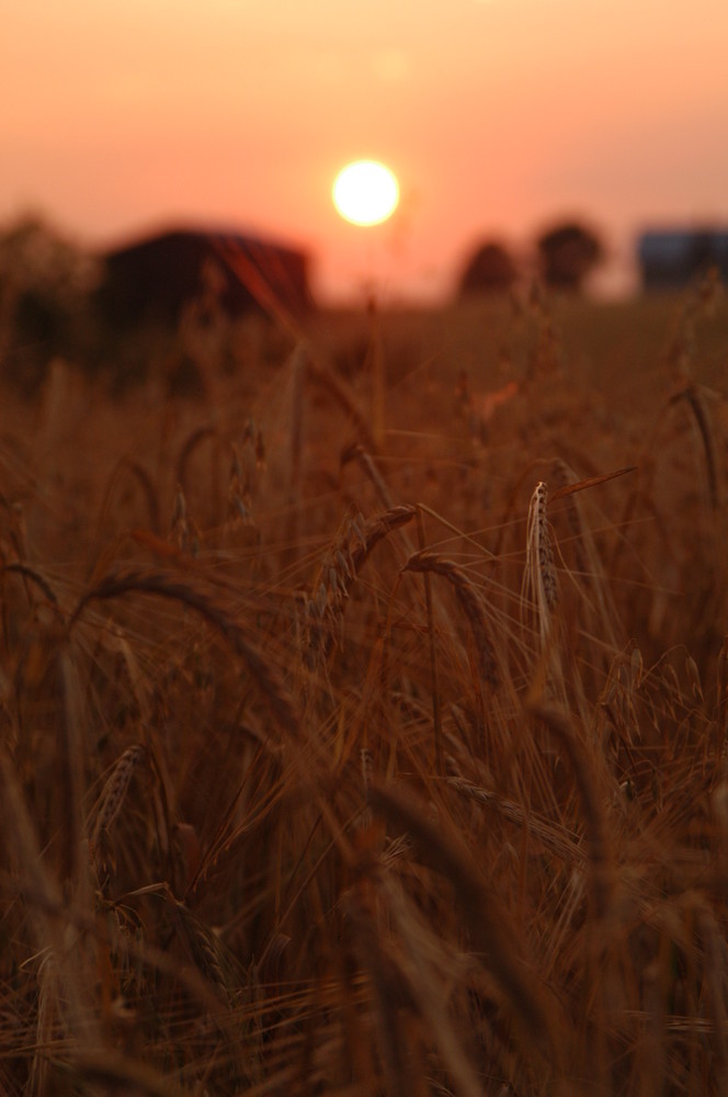 sonnenuntergang