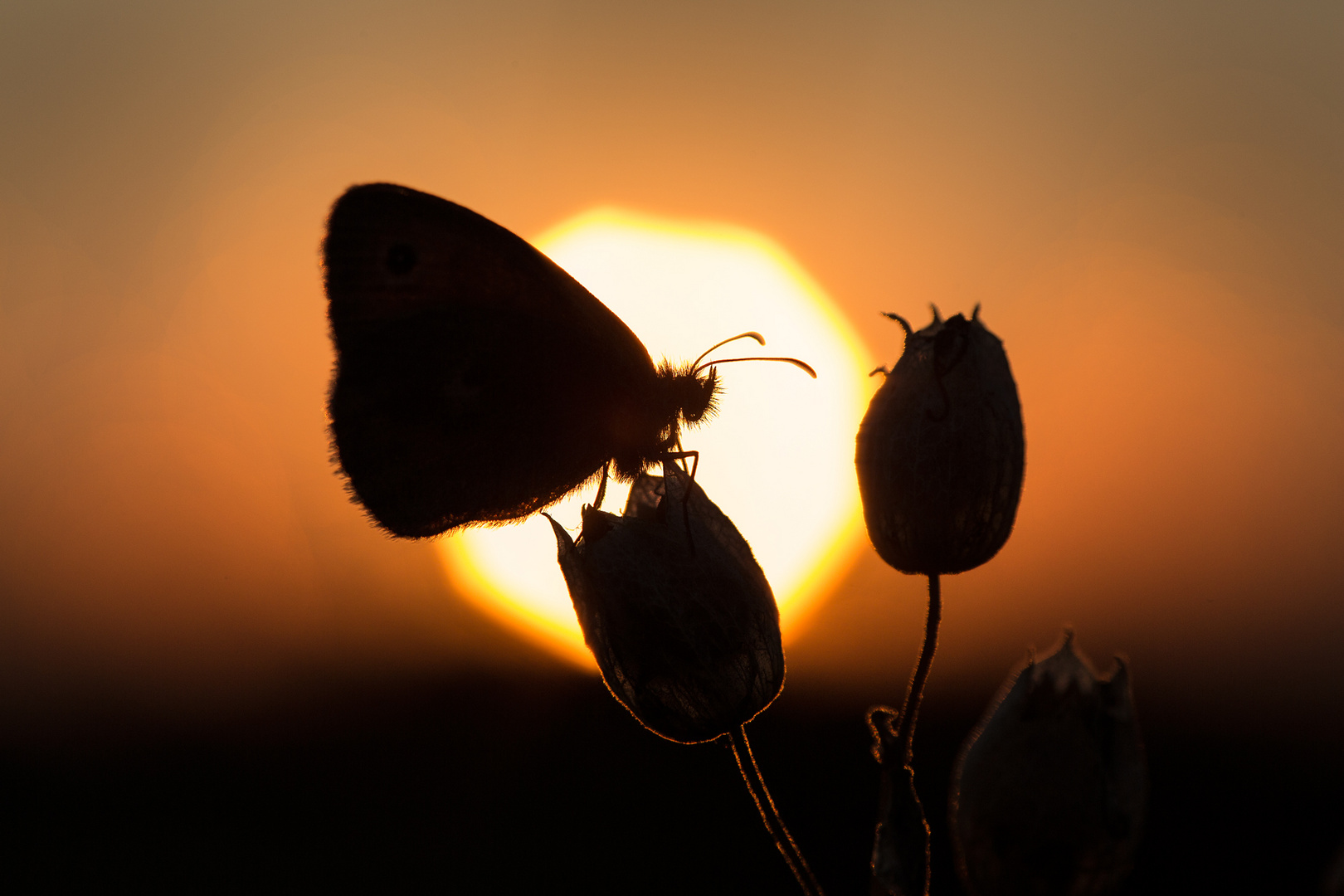 Sonnenuntergang