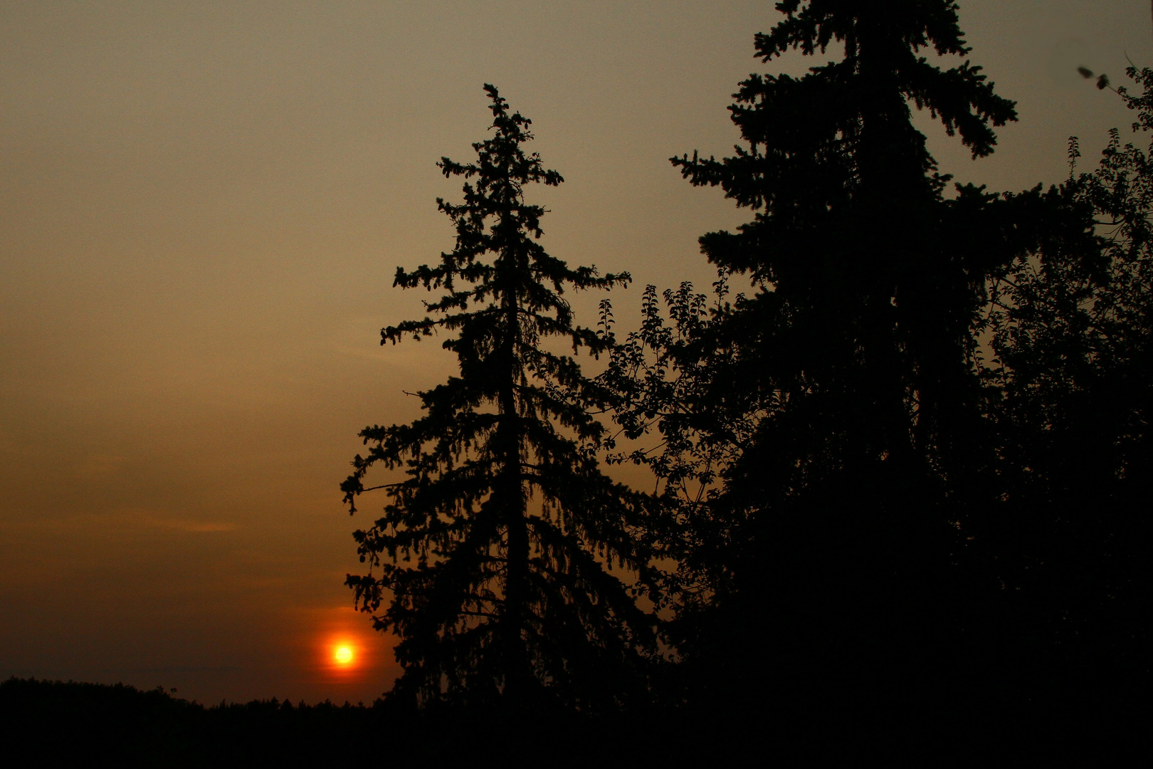 Sonnenuntergang, 04.07.2023