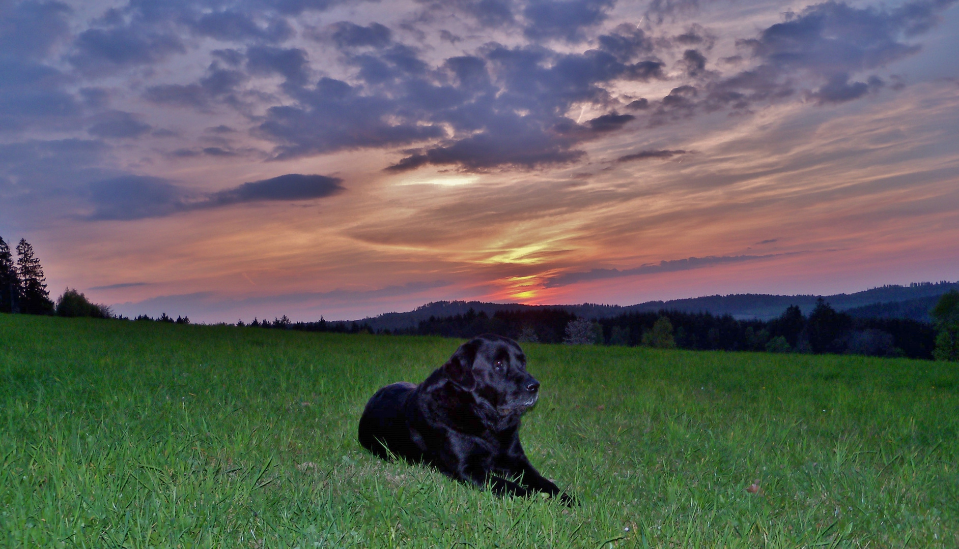 Sonnenuntergang 05: Gigolo