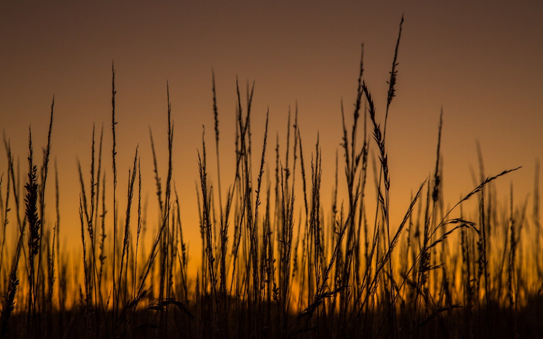 Sonnenuntergang