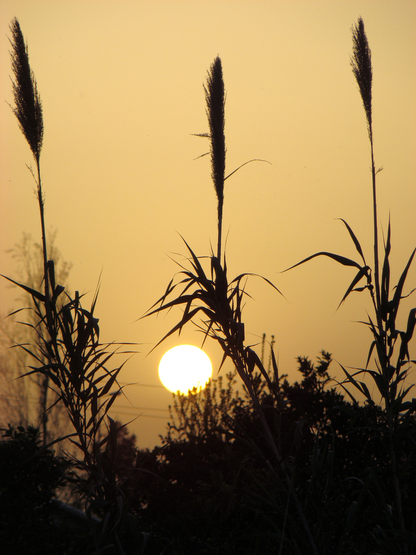 Sonnenuntergang