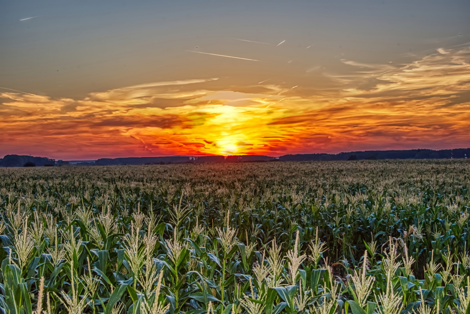 Sonnenuntergang 