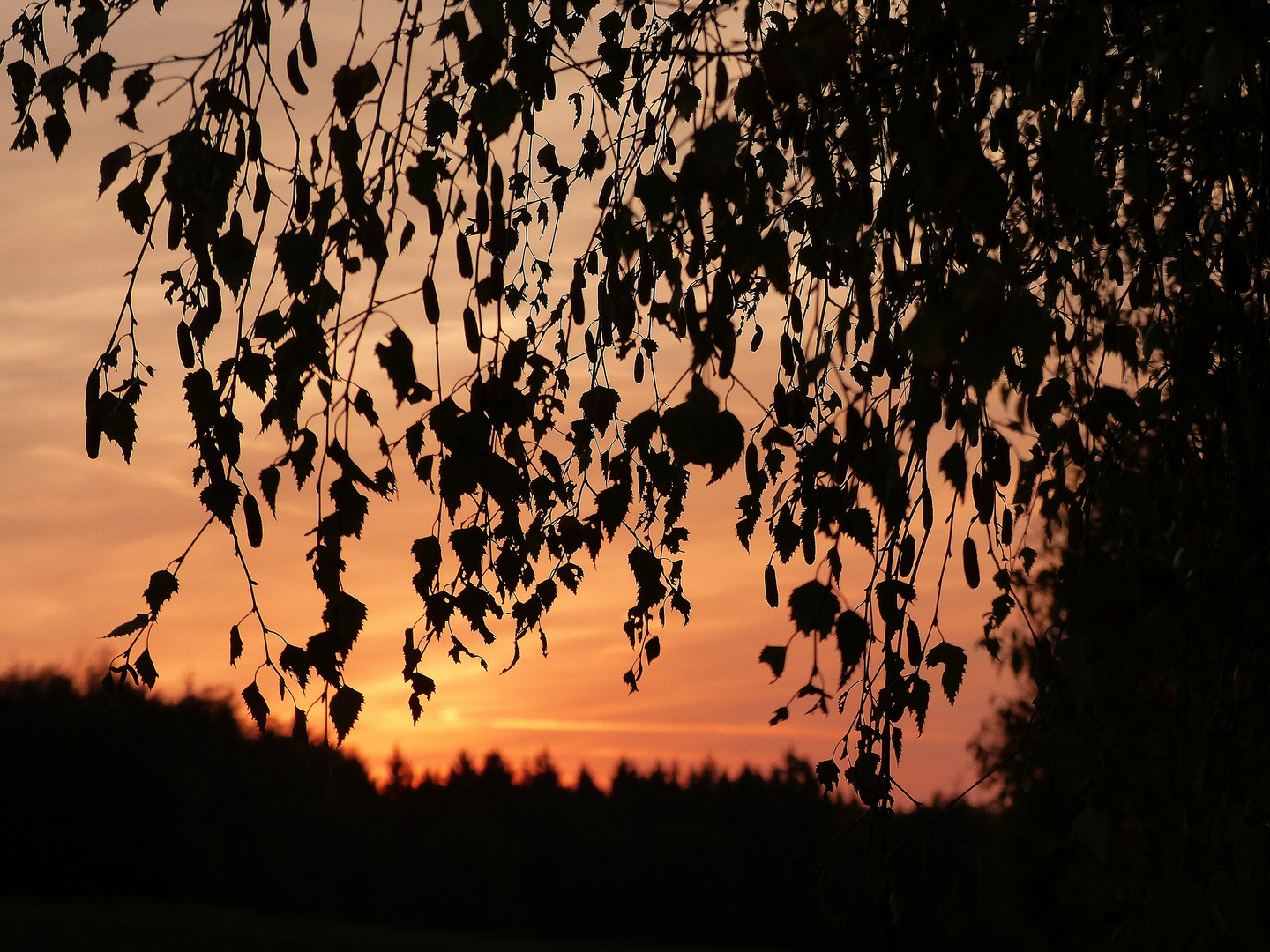 Sonnenuntergang 08.10.2018_02