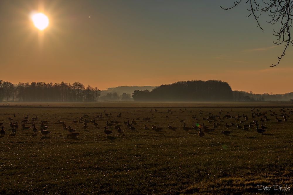 Sonnenuntergang