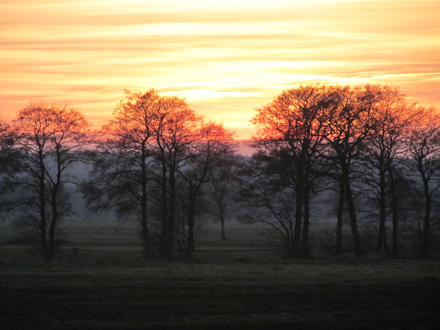 Sonnenuntergang ....... 09.03.2014