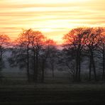 Sonnenuntergang ....... 09.03.2014