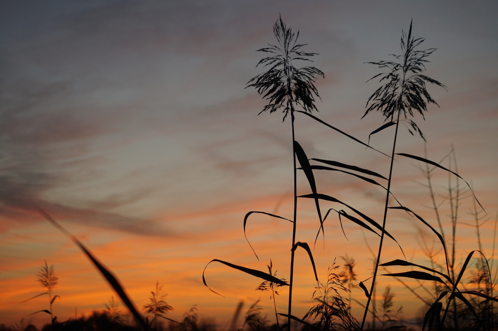 Sonnenuntergang