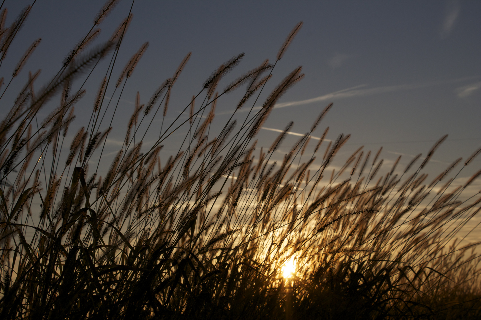 Sonnenuntergang