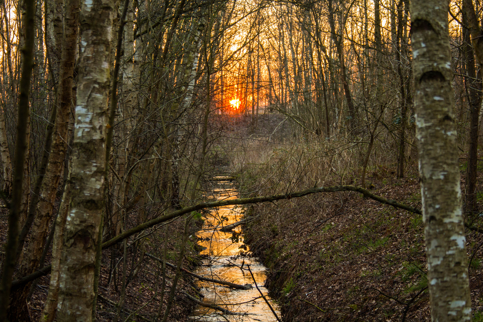 Sonnenuntergang