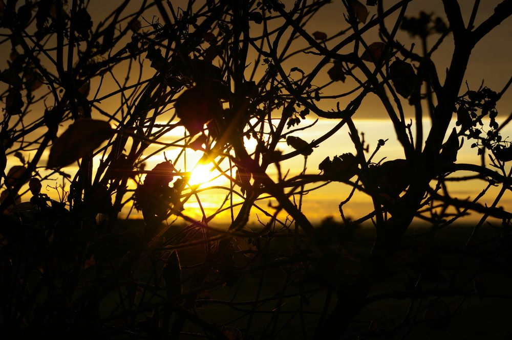 Sonnenuntergang