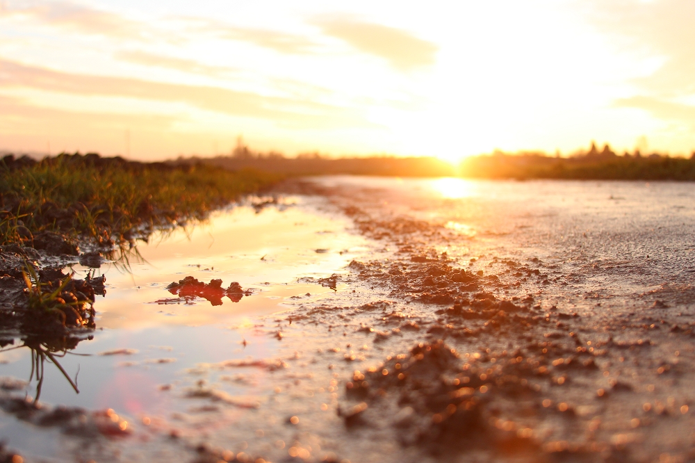 Sonnenuntergang