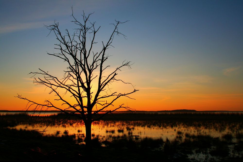 Sonnenuntergang by Maximilian L. - ~mäxchen~ 